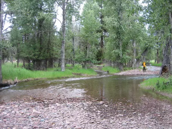 Seeley Lake, MT 59868,2980 Highway 83 N