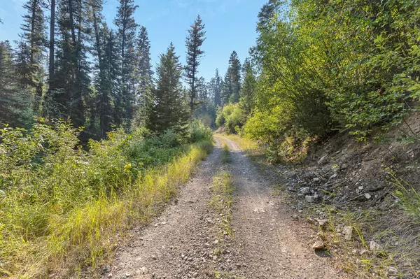 Potomac, MT 59823,6300 Camas Creek RD