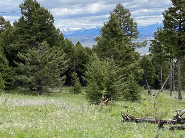 Helena, MT 59602,7-8 Turk RD