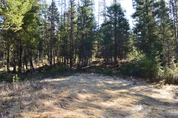 Whitefish, MT 59937,772 Rifle Range RD