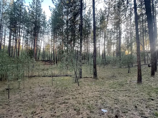NHN Leanin Tree LN, Pablo, MT 59855