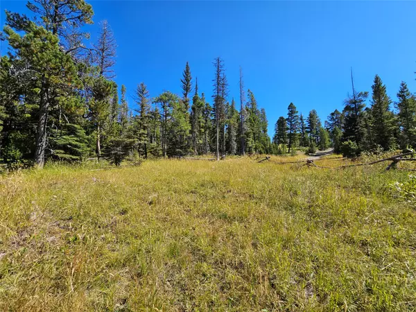 Helmville, MT 59843,2700 Westridge RD