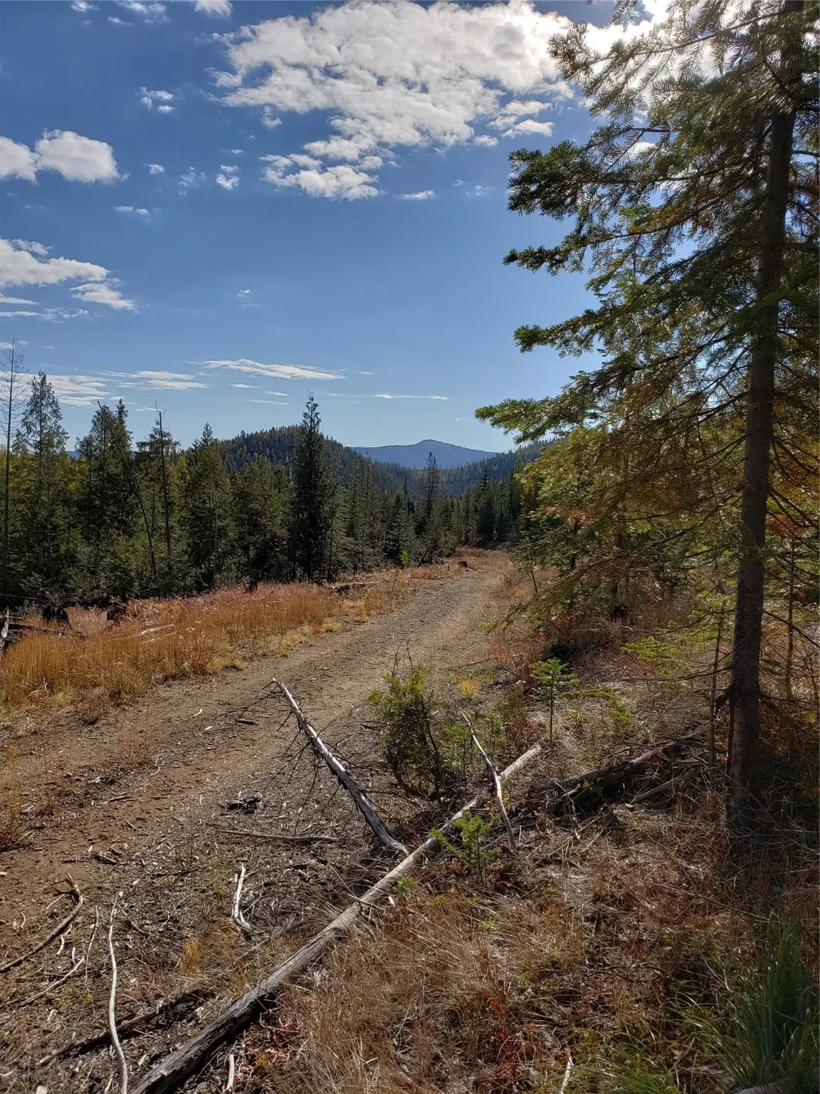 Haugan, MT 59842,114a Packer Creek RD