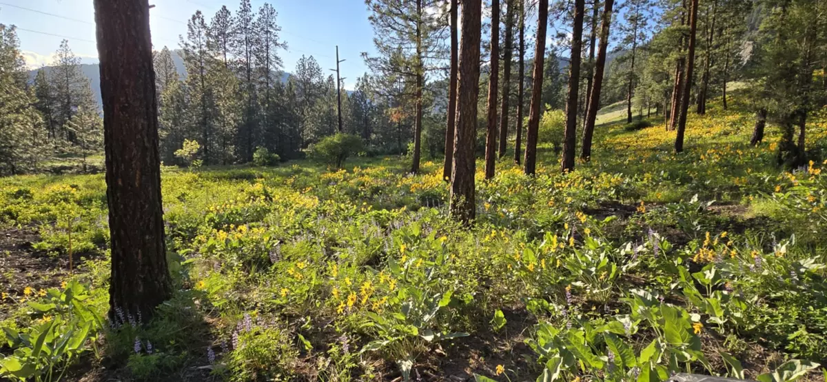 Alberton, MT 59820,Nhn Profile Rock DR