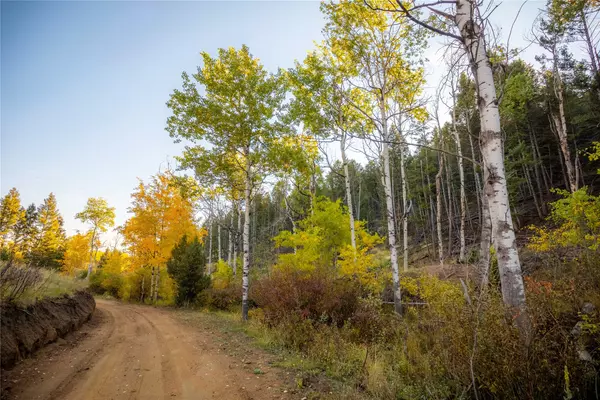 Ramsay, MT 59748,NHN Lone Pine Gulch RD