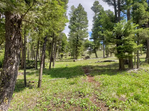 Helmville, MT 59843,513 Spruce Gulch RD