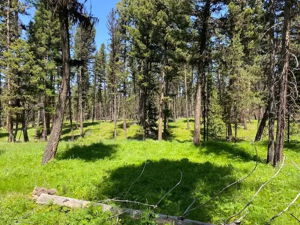 Seeley Lake, MT 59868,167 Telemark WAY
