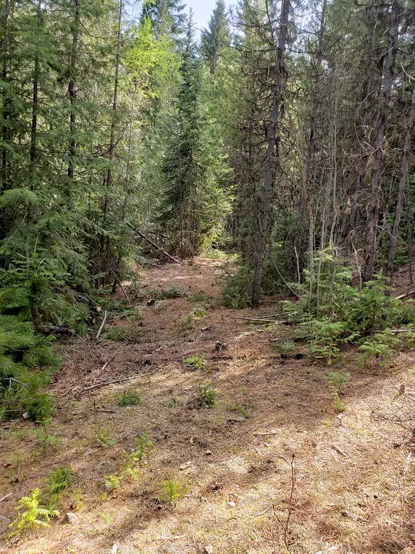 Huson, MT 59846,Tract 7 Little Frank Lode Nine Mile RD