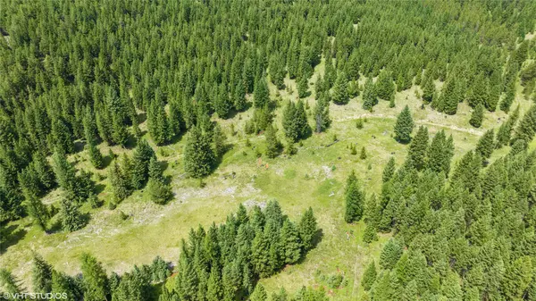 nhn Pinkham 160 acres RD, Rexford, MT 59930