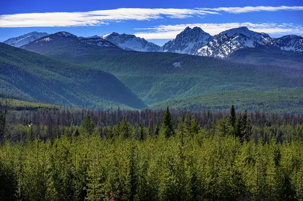 Condon, MT 59826,NHN Stoner Lake RD