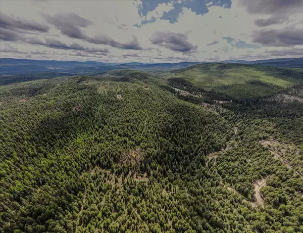 Trego, MT 59934,NHN E Edna Mountain RD