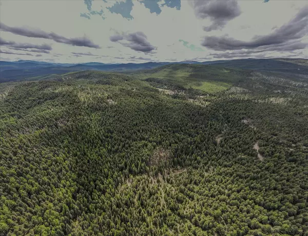 Trego, MT 59934,NHN E Edna Mountain RD