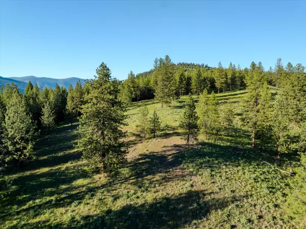 Libby, MT 59923,NHN Highway 37