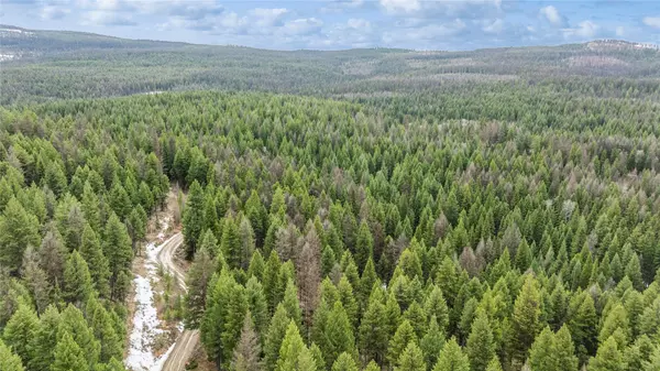 Fortine, MT 59918,388 Coyote Ridge Pass RD