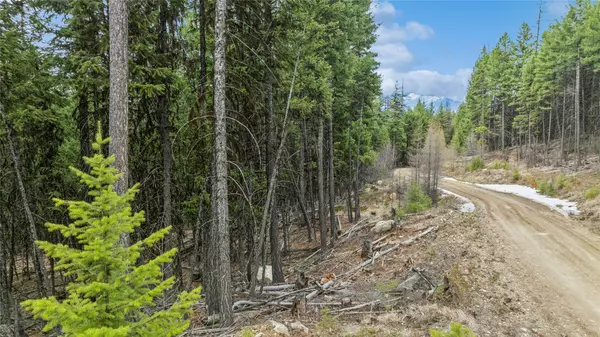Fortine, MT 59918,388 Coyote Ridge Pass RD