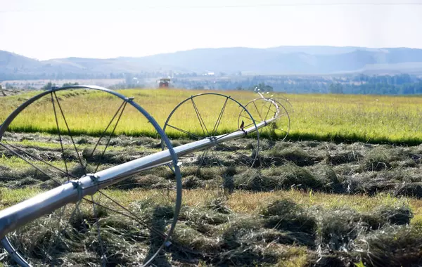 Stevensville, MT 59870,711 Middle Burnt Fork RD