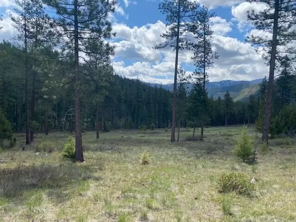 Alberton, MT 59820,NHN Mountain Vista LN