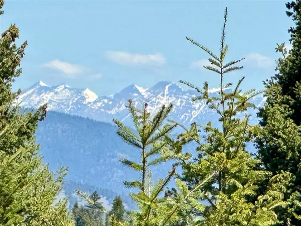 Potomac, MT 59823,NHN Camas Springs RD