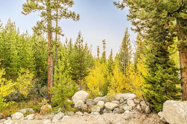 Anaconda, MT 59711,Lot 1 TBD Harris Rd