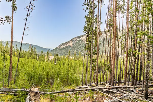 Anaconda, MT 59711,Lot 3 TBD Harris RD