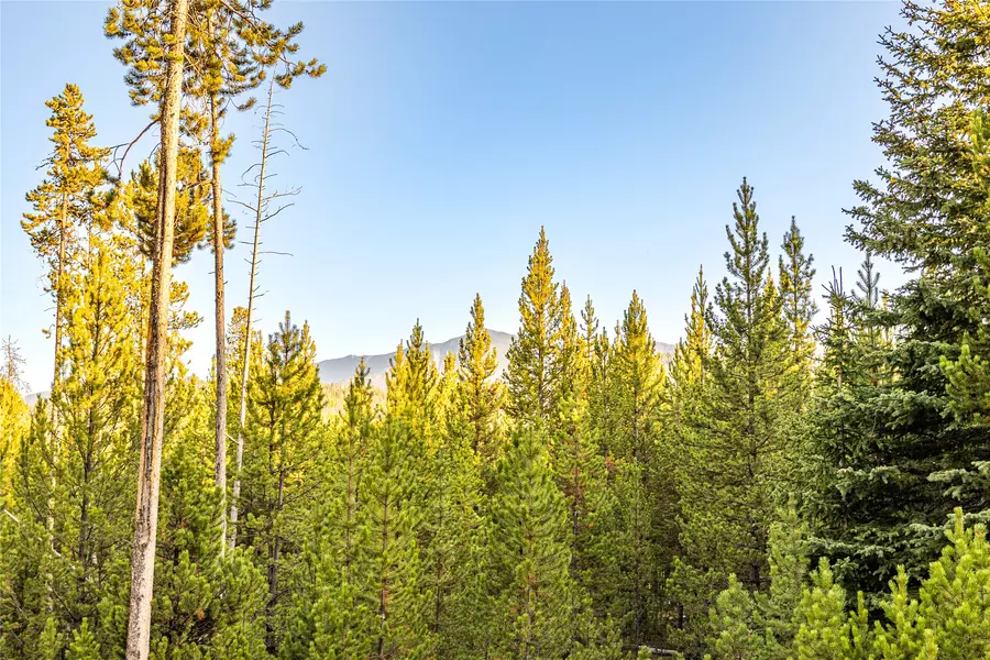 Lot 10 TBD Harris RD, Anaconda, MT 59711