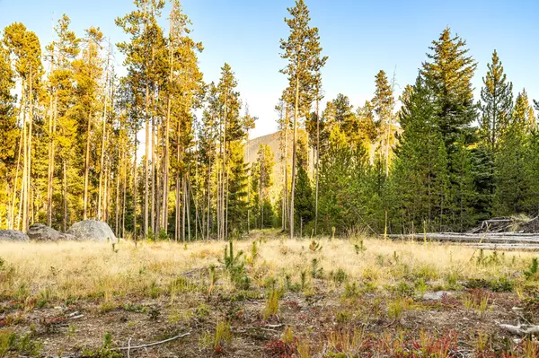 Anaconda, MT 59711,Lot 10 TBD Harris RD