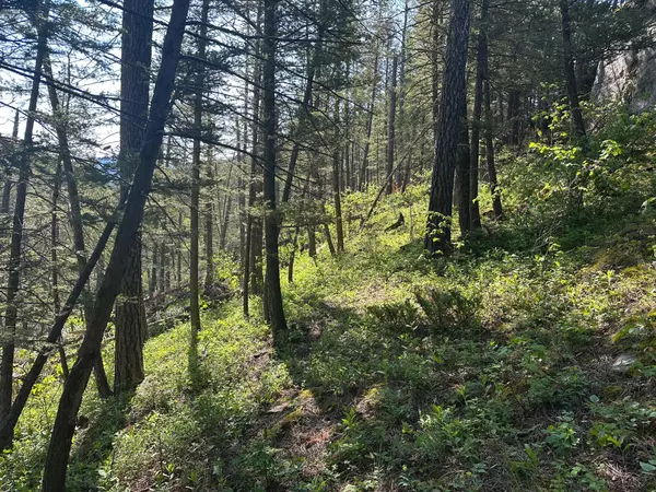 Monarch, MT 59463,NHN Hwy 89 N