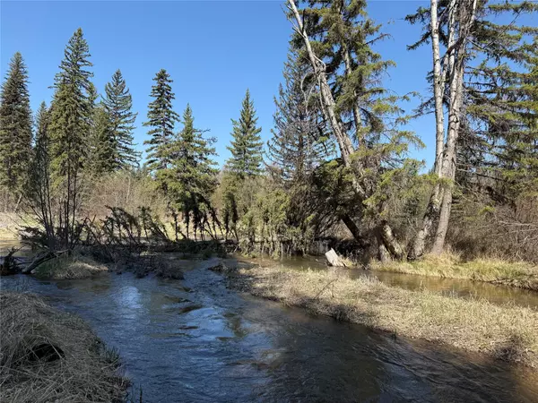 22329 Old Mill RD, Bigfork, MT 59911