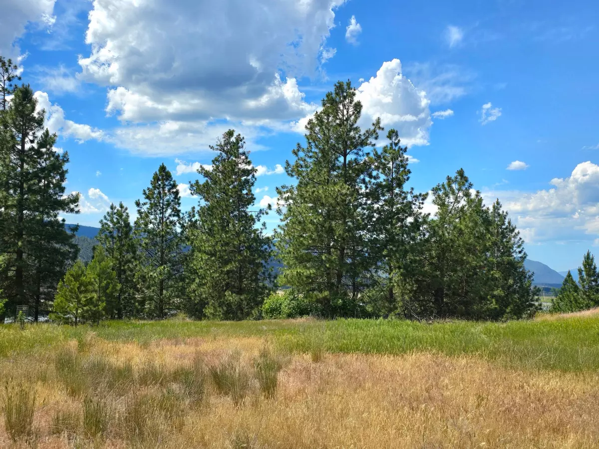 Plains, MT 59859,Lot 9 Riverview TER