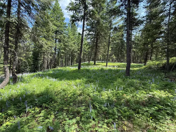 Troy, MT 59935,Parcel B Kootenai DR