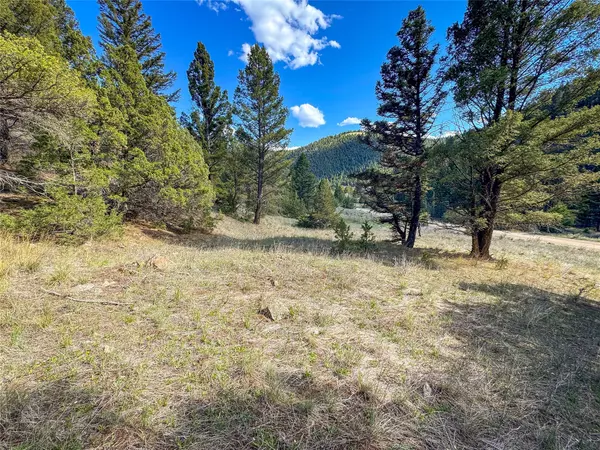 Boulder, MT 59632,TBD (28.6 +/- Acres) High Ore RD