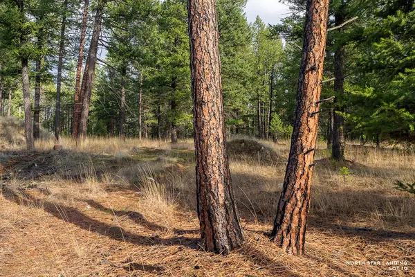 Eureka, MT 59917,Lot 10 Lake HTS