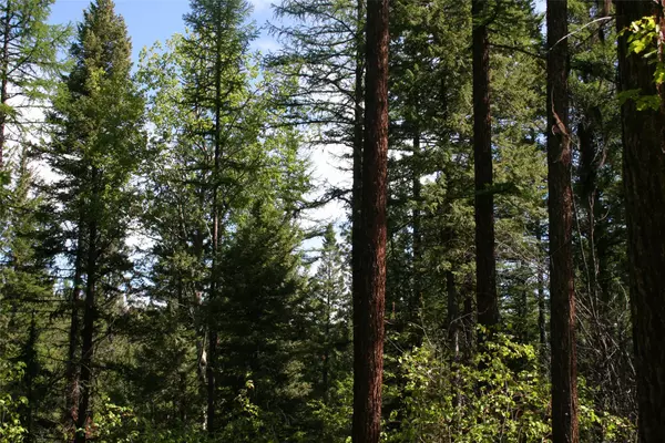 Kalispell, MT 59901,1450 Kienas RD