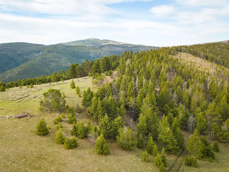 TBD (58+/- Acres) Ottawa Gulch RD, Canyon Creek, MT 59633