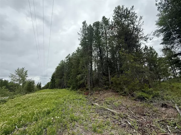 Whitefish, MT 59937,142 Lupfer RD