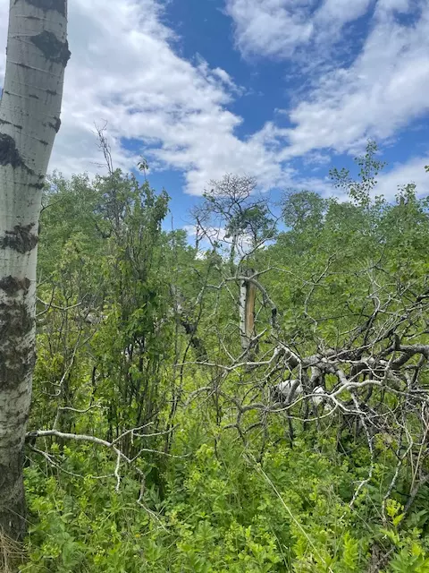 East Glacier Park, MT 59434,105 Heart Butte Cutoff