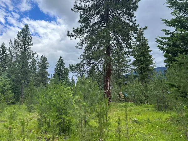 Trout Creek, MT 59874,NHN Jewel LN #Lot 23