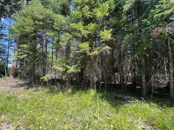 Bigfork, MT 59911,13643 Sundance TRL