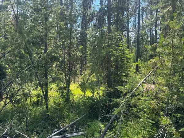 Olney, MT 59927,9295 Highway 93 N