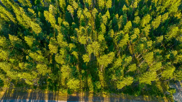 Whitefish, MT 59937,1323 Whitefish Village DR