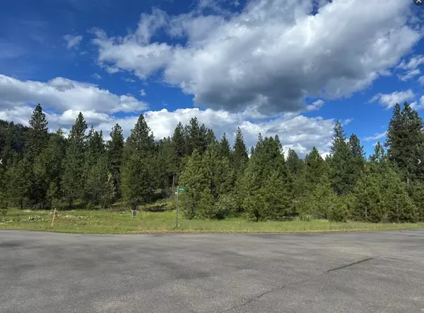 Plains, MT 59859,Nhn Mahonia RD