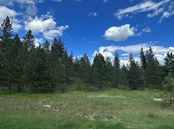 Plains, MT 59859,Nhn Mahonia RD