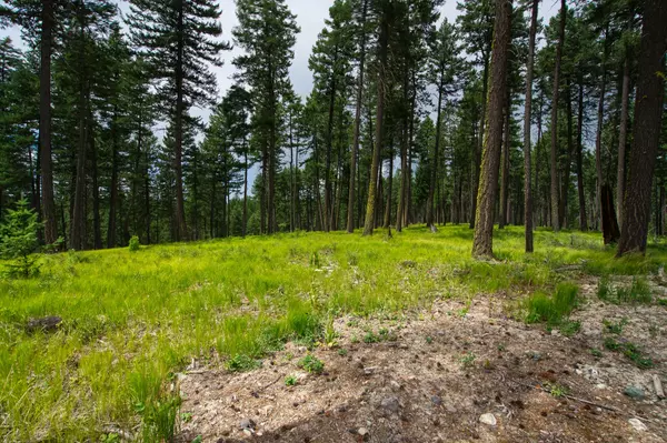 Whitefish, MT 59937,182 Rosewood LN #Lot 15