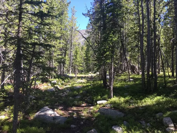 Melrose, MT 59743,TBD Trapper Creek RD