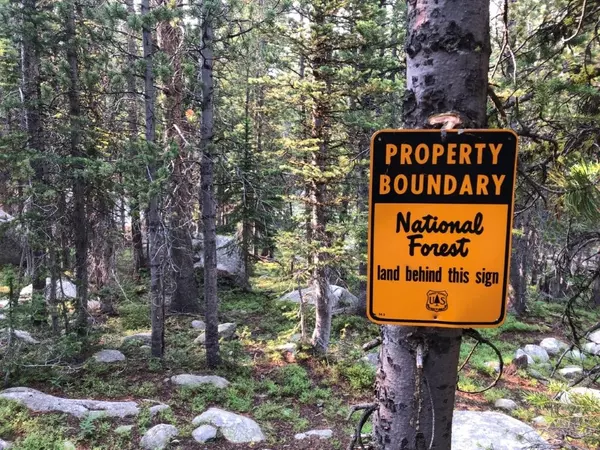 Melrose, MT 59743,TBD Trapper Creek RD
