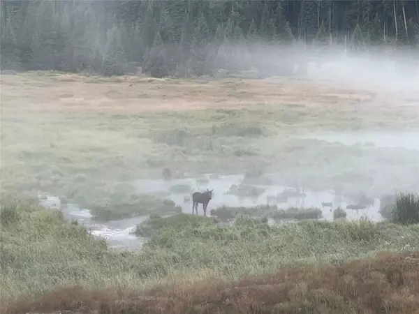 Libby, MT 59923,TBD Lot12 Schrieber Lake Subdivision