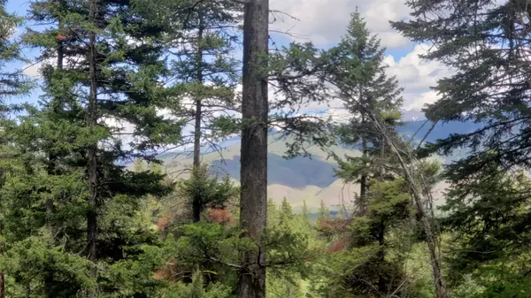 Arlee, MT 59821,Lot 20 Arlee Pines