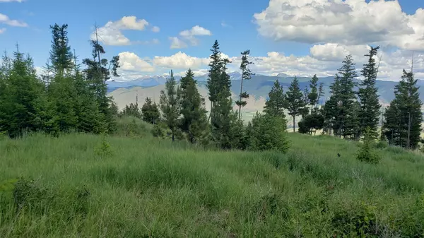Arlee, MT 59821,Lot 21 Arlee Pines