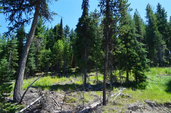 Whitefish, MT 59937,NHN Logan Creek RD