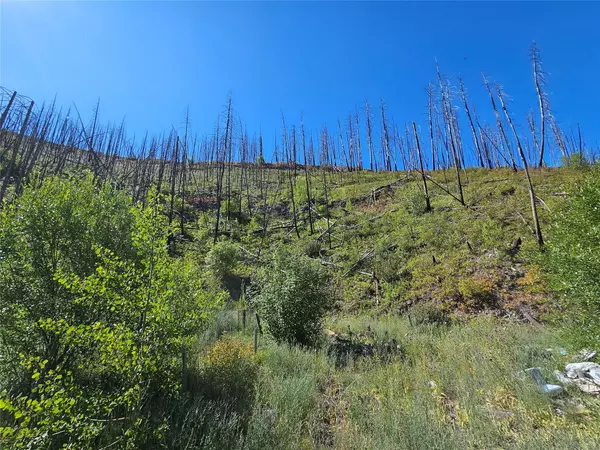 Drummond, MT 59832,80 Upper Packer Gulch RD